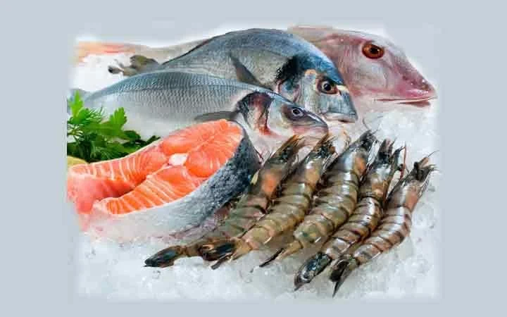 قیمت ماهی