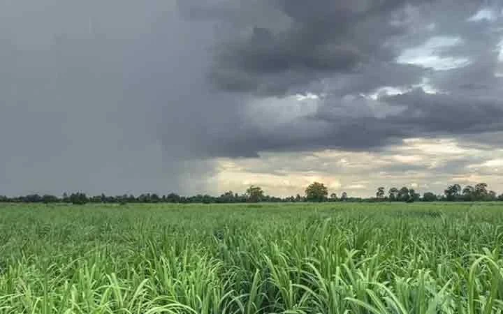 هشدار سازمان هواشناسی به کشاورزان