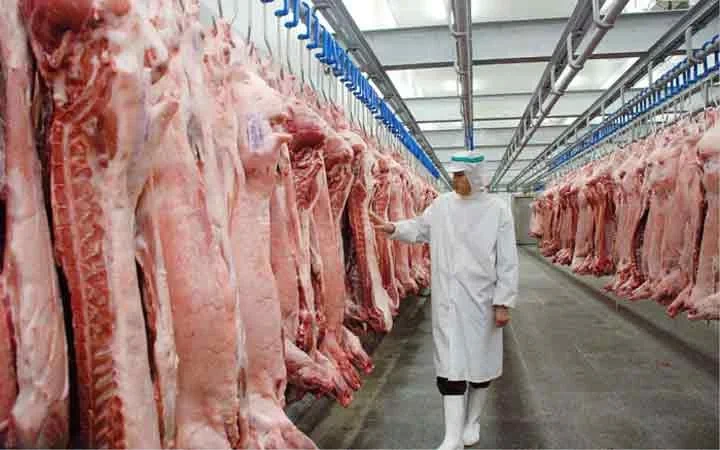 واردات گوشت